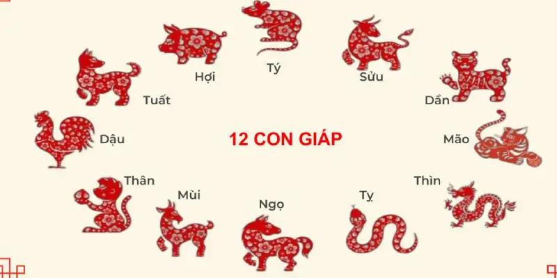 Màu mạng gà đá theo con giáp